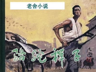 小狼导航正在加载中